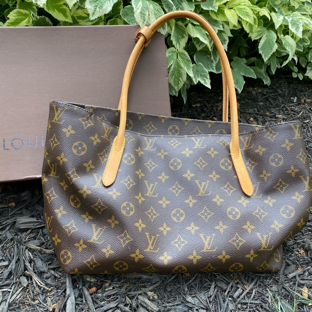 Louis Vuitton Monogram Bag